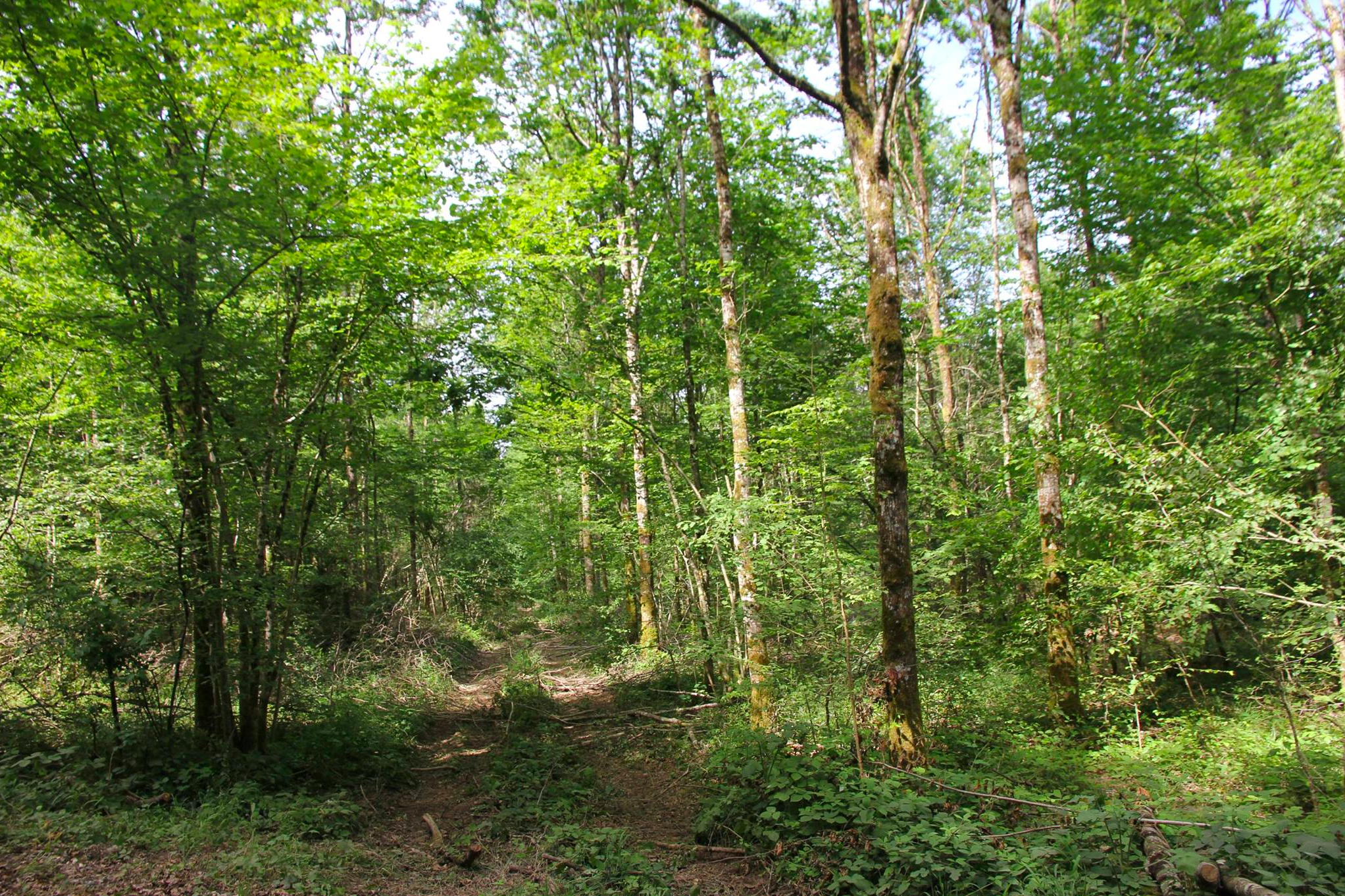 13558815_1130736786978053_2024404727808226005_o_1130736786978053