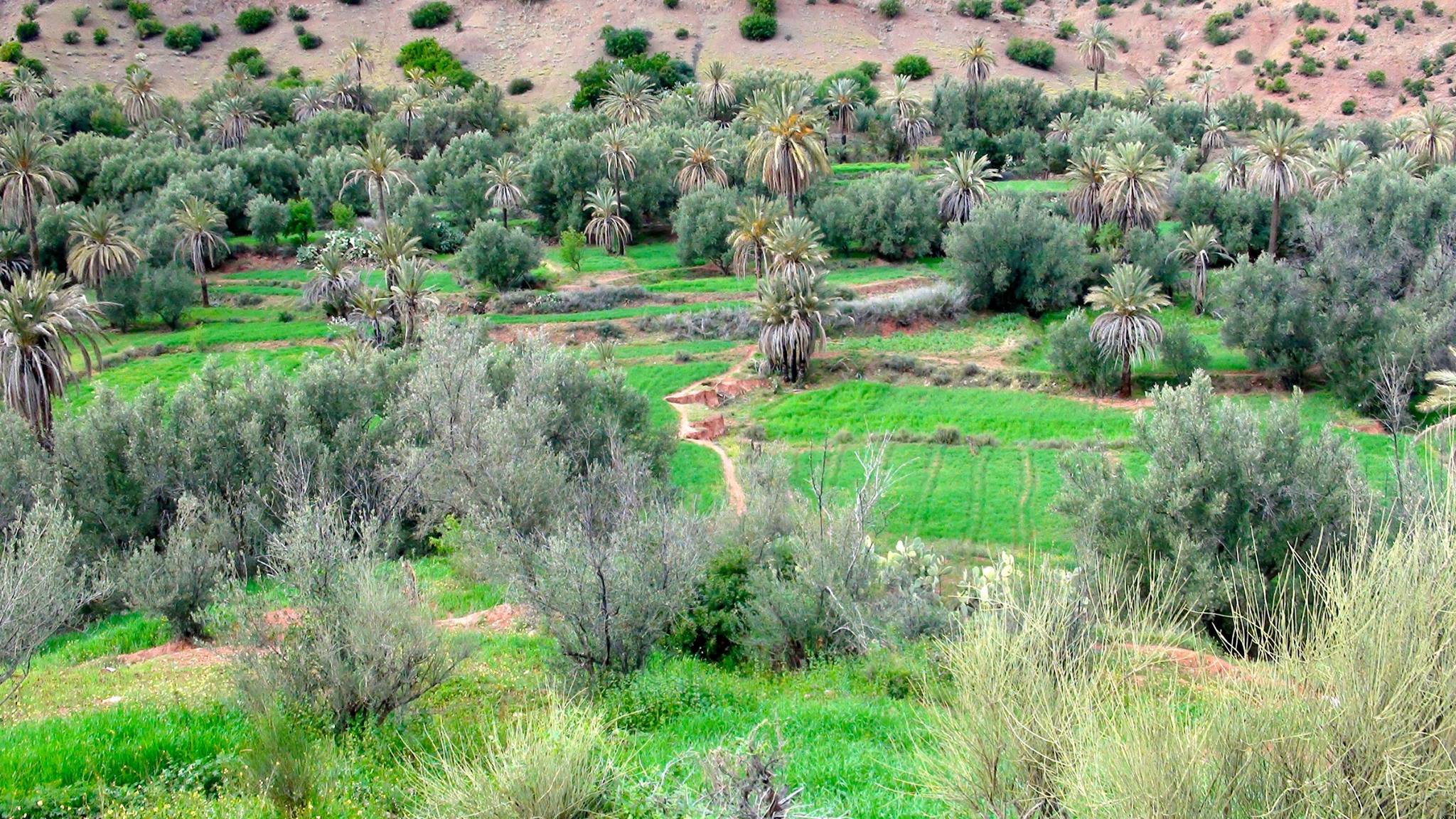 17015727_1343788765672853_5343003051578423634_o