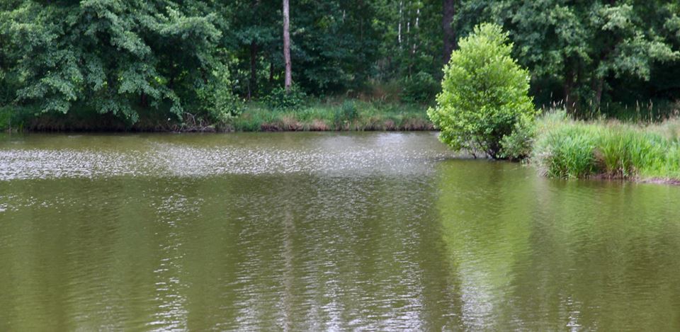 19657019_1474776572574071_5222169098027338868_n