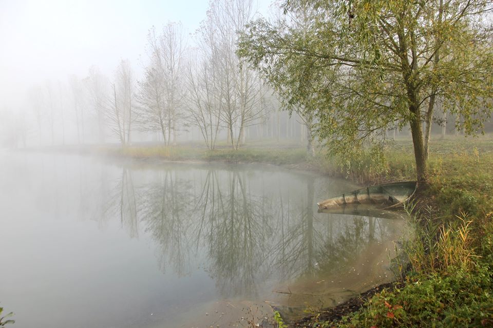 23167998_1591264417591952_8505830088751099725_n