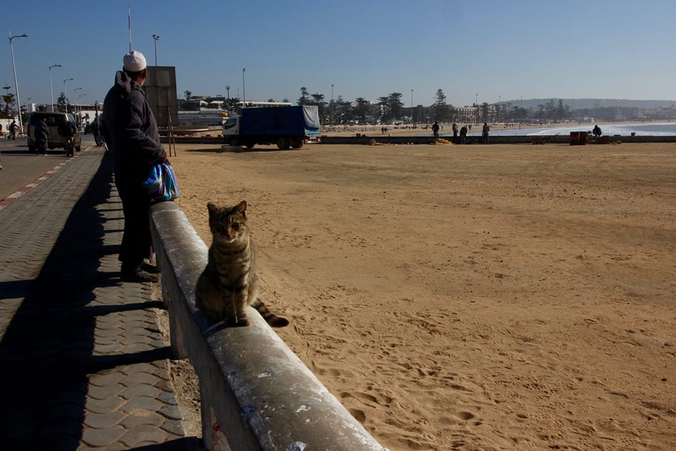 26165689_1642473835804343_5786395555283819315_n