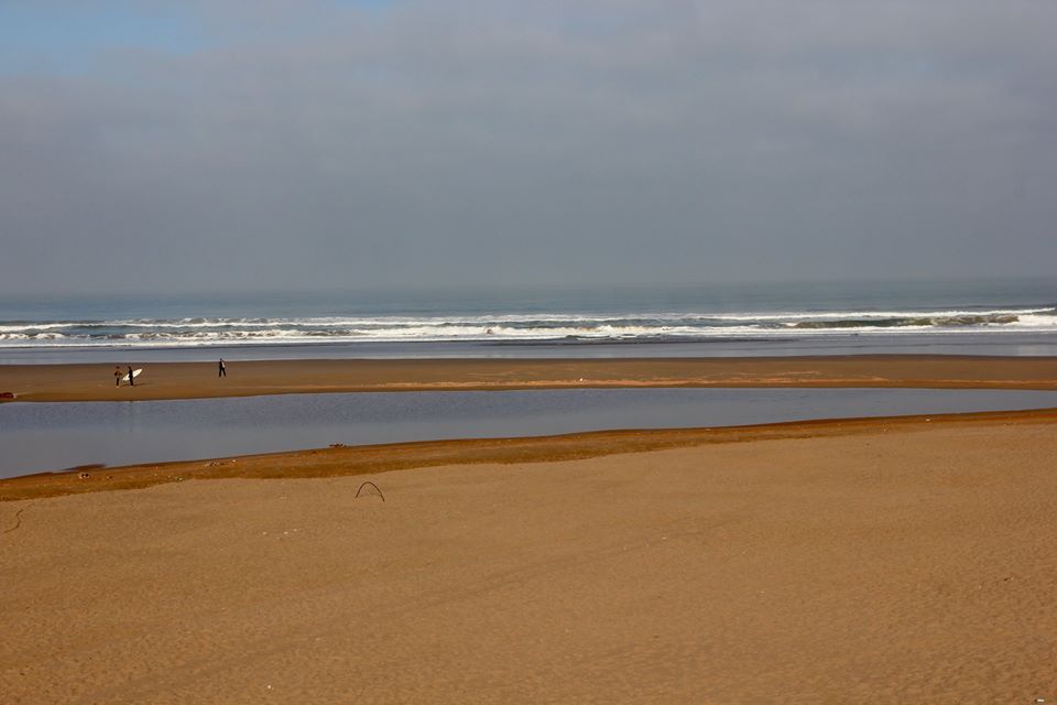 26169173_1650042408380819_6809439430105419810_n