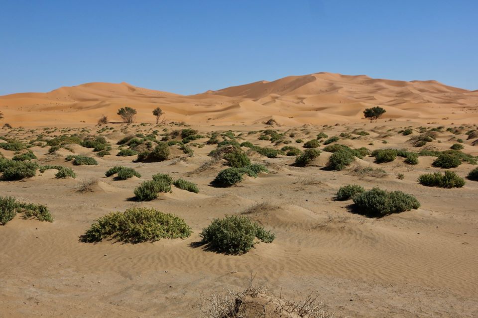 27867698_1692976730754053_8750471939448330844_n