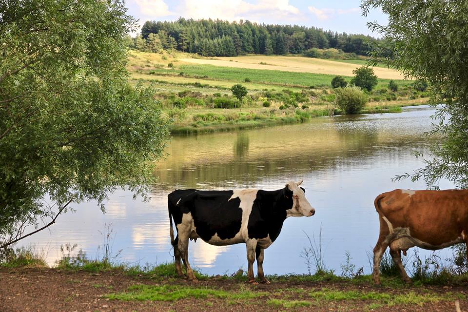 38047709_1894106223974435_8130449636235149312_n