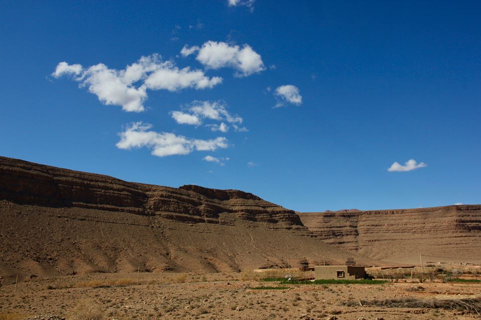 27972896_1695987720452954_6137865264091752654_n