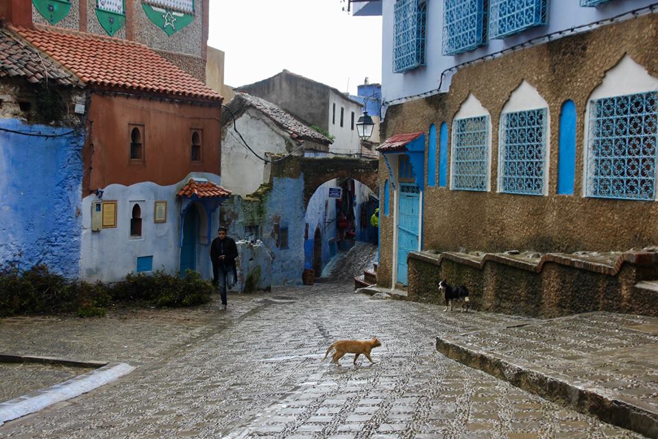 29133124_1718181228233603_5956664325735288249_n