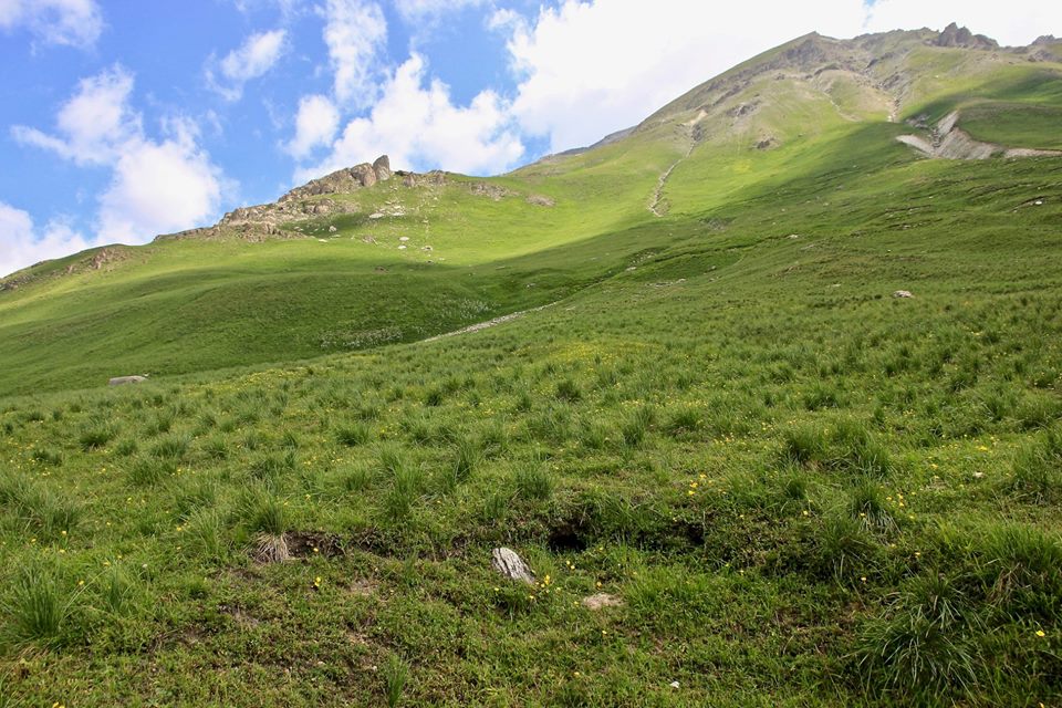 37058826_1861417293909995_8944844206573092864_n