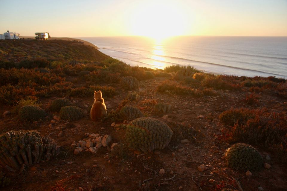 Cette image a un attribut alt vide&nbsp;; le nom du fichier est 52297902_2212760015644234_5402127448781357056_n-e1576703490810.jpg